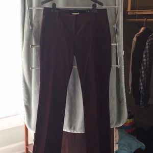 LOFT velvet boot cut one-off factory sample pants